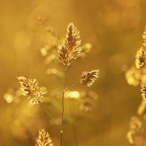 Photography for Beauty and Skincare Brands