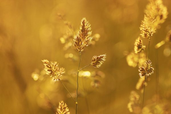 Photography for Beauty and Skincare Brands